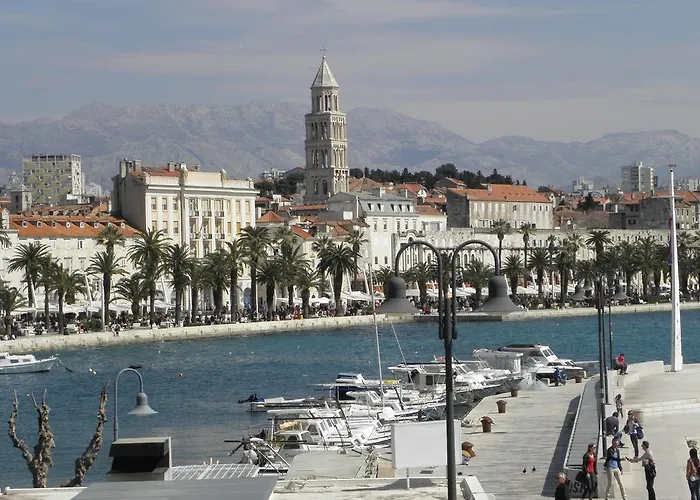 The View 스플리트